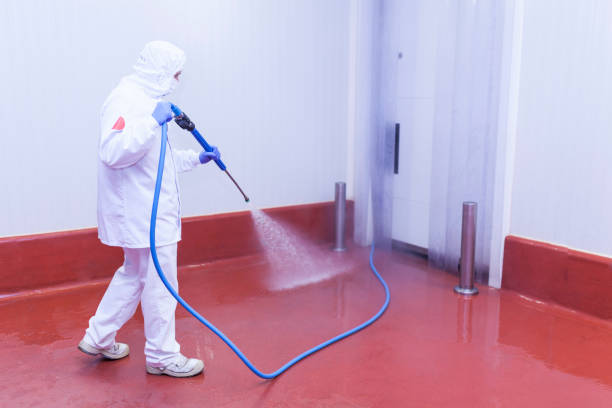 Best House Exterior Washing  in Pine Ridge, SC
